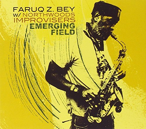 Faruq Z. & Northwoods Impr Bey/Emerging Field