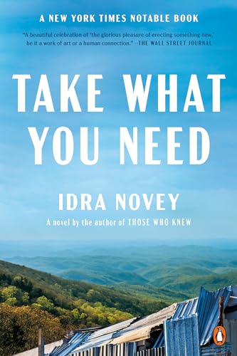 Idra Novey Take What You Need 