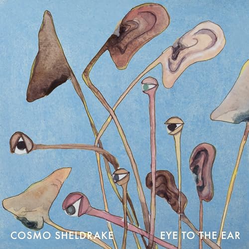 Cosmo Sheldrake/Eye To The Ear@Amped Exclusive