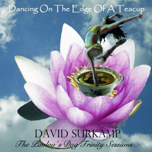 David Surkamp/Dancing On The Edge Of A Teacu