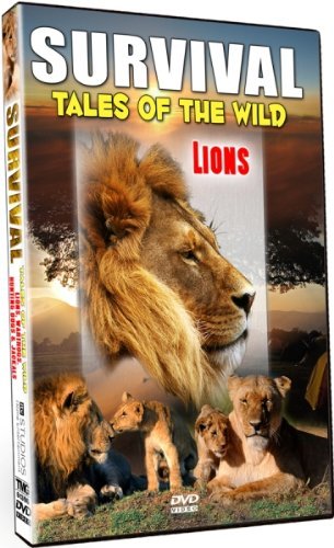 Lions Survival Tales Of The Wild Nr 