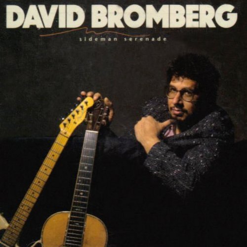 David Bromberg/Sideman Serenade