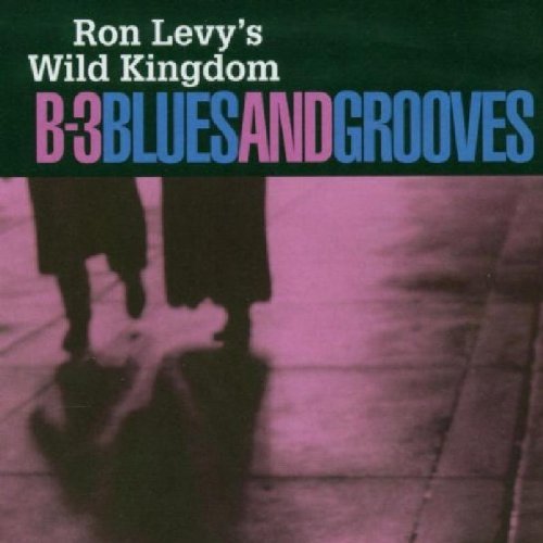 Ron Levy/B-3 Blues & Grooves