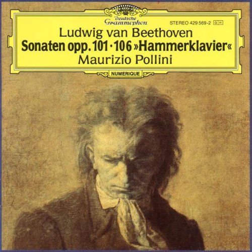 L.V. Beethoven/Son Pno 28/29