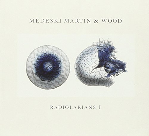 Medeski, Martin & Wood/Radiolarians I