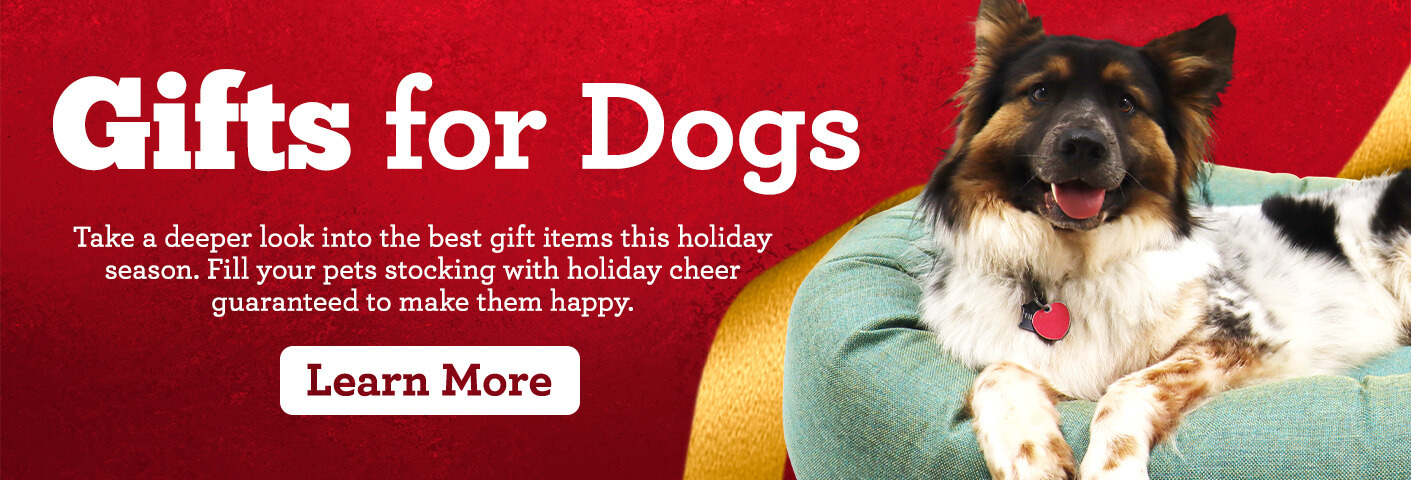 Dog Gift Guide -  Gift for Dogs