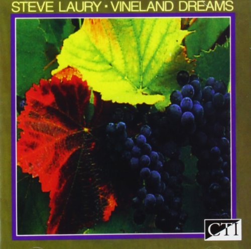 Steve Laury/Vineland Dreams@Import-Eu