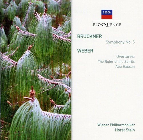 Horst Stein/Bruckner-Symphony No 6@Import-Aus