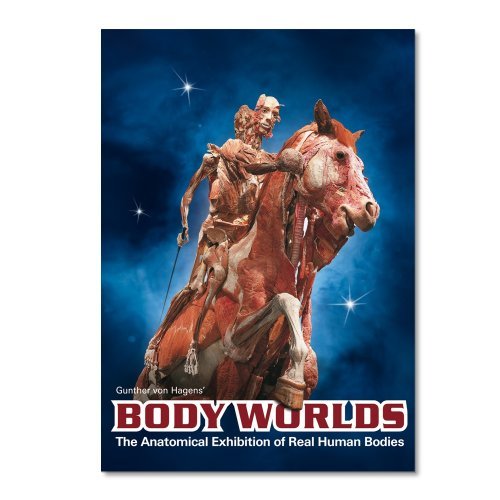 Body Worlds/Anatomical Exhibition Of Real Hum