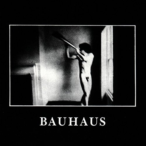 Bauhaus/In The Flat Field