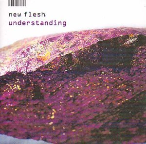 New Flesh/Understanding@2 Lp