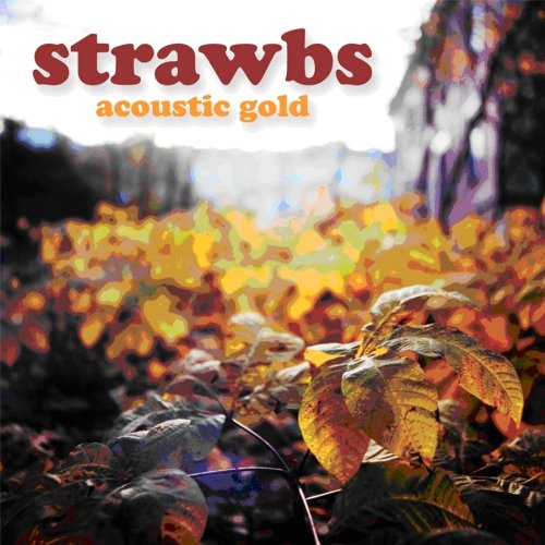 Strawbs Acoustic Gold 