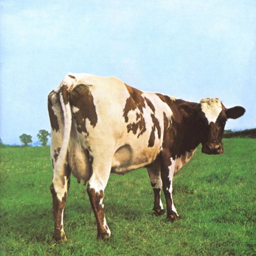 Pink Floyd/Atom Heart Mother@Discovery Editions