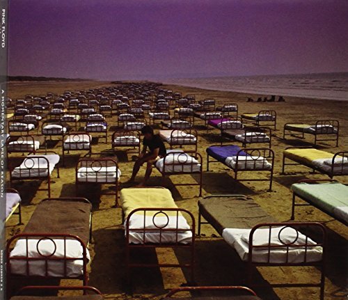 Pink Floyd/Momentary Lapse Of Reason@Discovery Editions