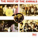 Animals/Most Of The Animals@Import-Aus