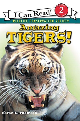 Sarah L. Thomson/Amazing Tigers!
