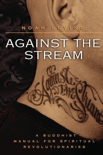 Noah Levine/Against the Stream@ A Buddhist Manual for Spiritual Revolutionaries