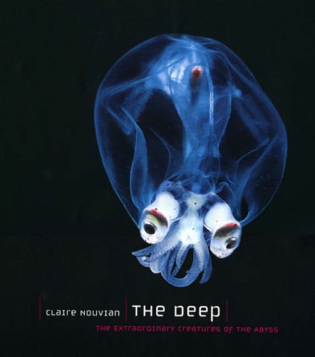 Claire Nouvian The Deep The Extraordinary Creatures Of The Abyss 
