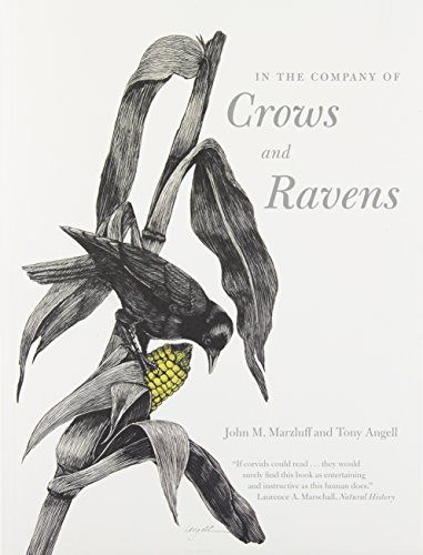 Marzluff,John M./ Angell,Tony/ Ehrlich,Paul R./In the Company of Crows And Ravens