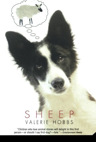 Valerie Hobbs/Sheep