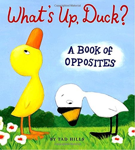 Tad Hills/What's Up, Duck?@ A Book of Opposites