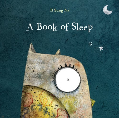 Il Sung Na/A Book of Sleep