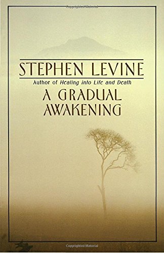 Stephen Levine/A Gradual Awakening