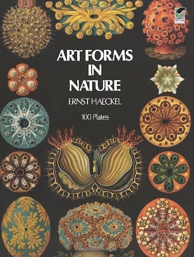 Ernst Haeckel Art Forms In Nature Revised 
