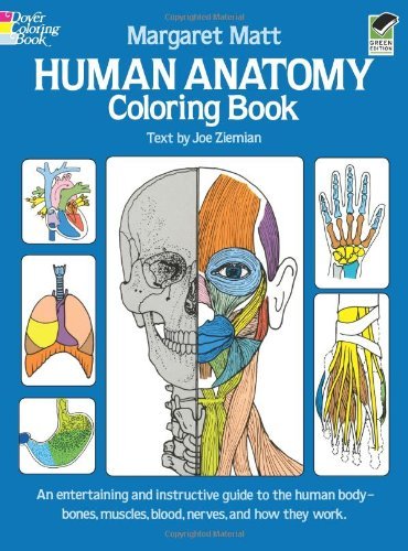 Margaret Matt/Human Anatomy Coloring Book