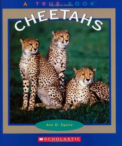 Ann O. Squire Cheetahs 