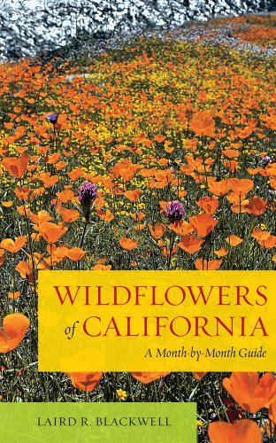 Laird Blackwell/Wildflowers of California@ A Month-By-Month Guide
