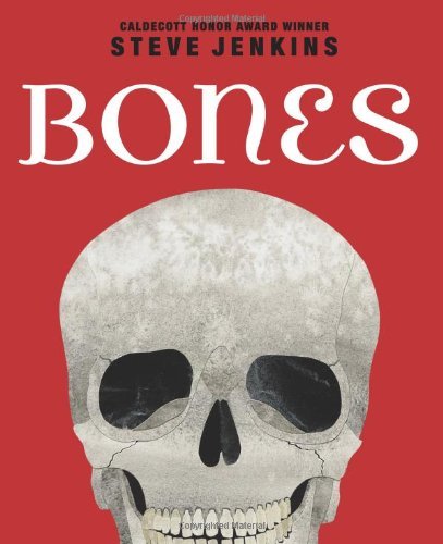 Steve Jenkins/Bones