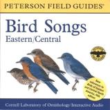 Cornell Laboratory Of Ornithology Field Guide To Bird Songs Eastern & Central N 