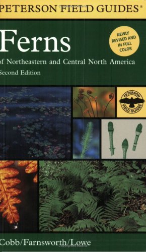 Boughton Cobb Peterson Field Guide To Ferns Second Edition Northeastern And Central North America 0002 Edition;revised 