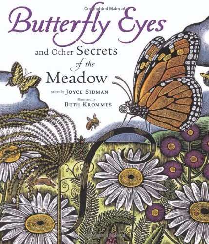 Beth Krommes Butterfly Eyes And Other Secrets Of The Meadow 