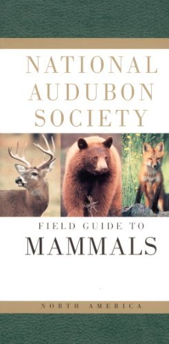 Whitaker,John O.,Jr./Nas Field Guide To Na Mammals@0002 Edition;Revised