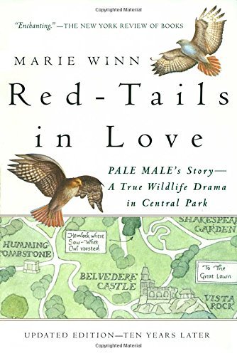 Marie Winn/Red-Tails in Love@ Pale Male's Story--A True Wildlife Drama in Centr