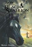 Walter Farley Son Of The Black Stallion 