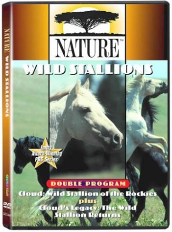 Wild Stallions/Nature@Nr