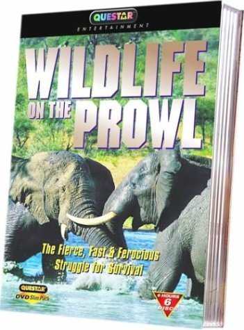 Wildlife On The Prowl/Wildlife On The Prowl@Nr