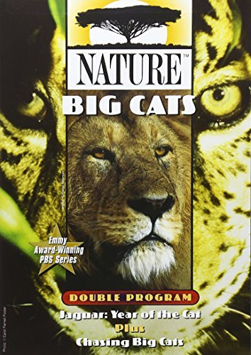 Big Cats Nature Nr 