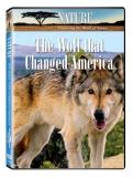 Wolf That Changed America Nature Nr 