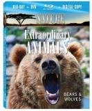 Extraordinary Animals Bears & Nature Blu Ray Ws Nr 