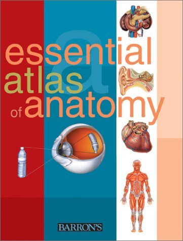 Parramon Studios Essential Atlas Of Anatomy 