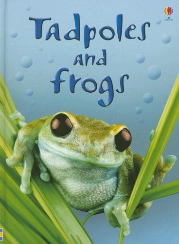 Anna Milbourne/Tadpoles And Frogs