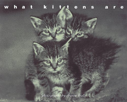 Sharon Beals What Kittens Are 