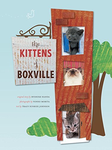 Ryosuke Handa/Kittens Of Boxville,The