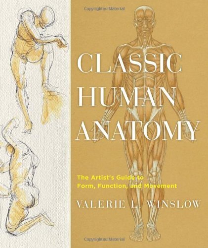 Valerie L. Winslow/Classic Human Anatomy@The Artist's Guide To Form,Function,And Movemen