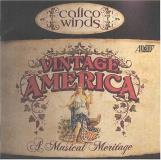 Calico Winds Vintage America Calico Winds 