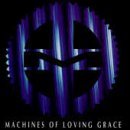 Machines Of Loving Grace/Rite Of Shiva
